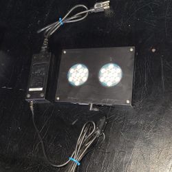 LED Light