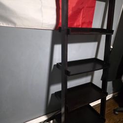Bookshelves Ladder