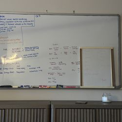 Extra Large Whiteboard
