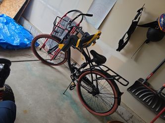 Adult Bicycle