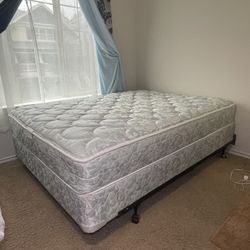 Queen Mattress & Box Spring Set - Moving Sale