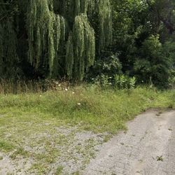 🔥Residential vacant land for sale🔥