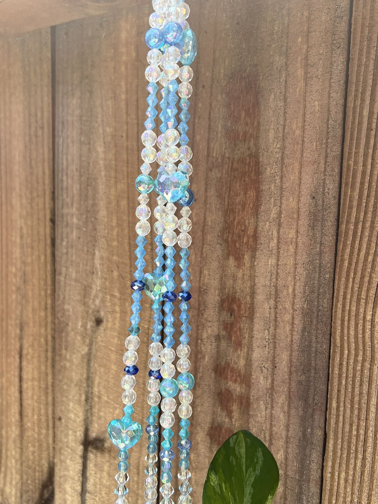 Blue Heart Plant Holder/propagation Holder