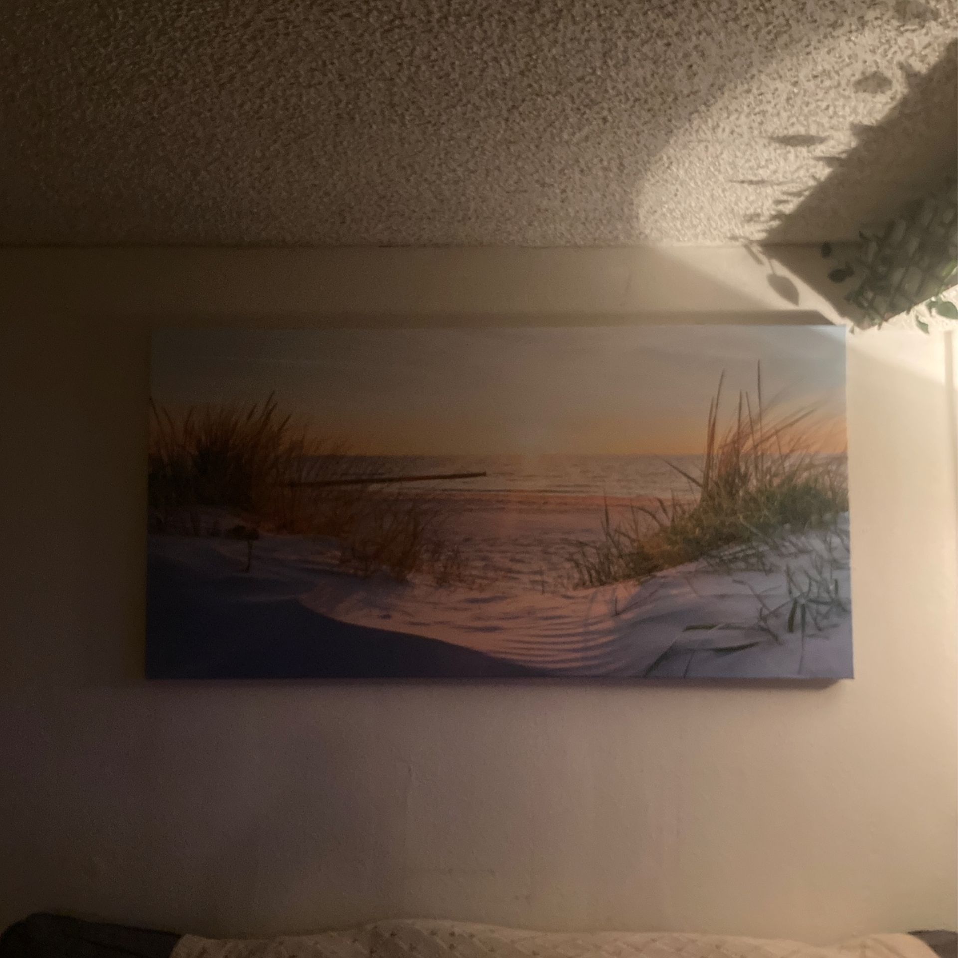 Picture- Bran New 30x60