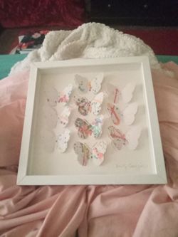 Butterfly Shadow Box