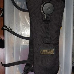 Camelback 