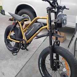 E bike