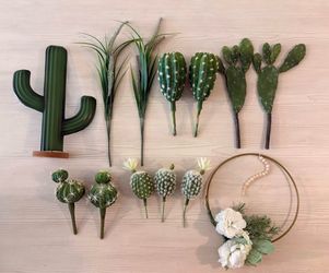 Desert Decor