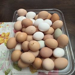 Fresh Farm Eggs - Unwashed
