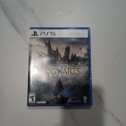 Hogwarts legacy Hard copy, PlayStation 5