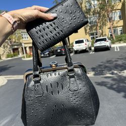 Women Purse And Wallet