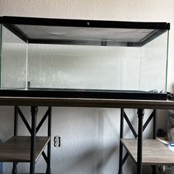 Aquatic Reptile Tank, Filter, Lamps, & Supplies