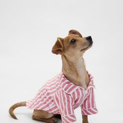 Gap Dog Pajamas