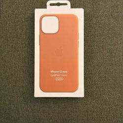 iPhone 13 mini leather case