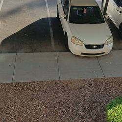 2006 Chevy Malibu , White 4 Cylinder 