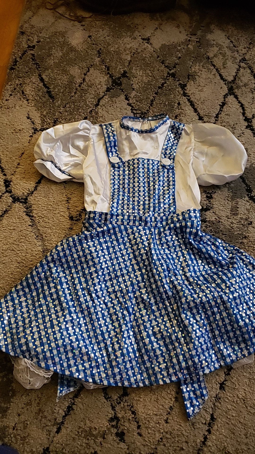 Dorothy costume