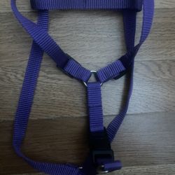 Clip Ajustable Leash