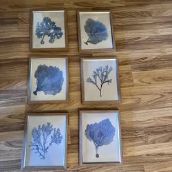 Coastal Wall Art Set