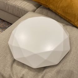 LED Flush Mount Light $20