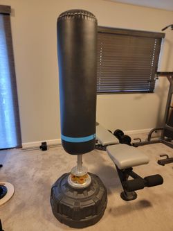 Free standing punching bag