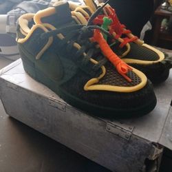 Rare Jordan DUNKS 