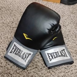 Everlast Boxing Gloves 14 Oz