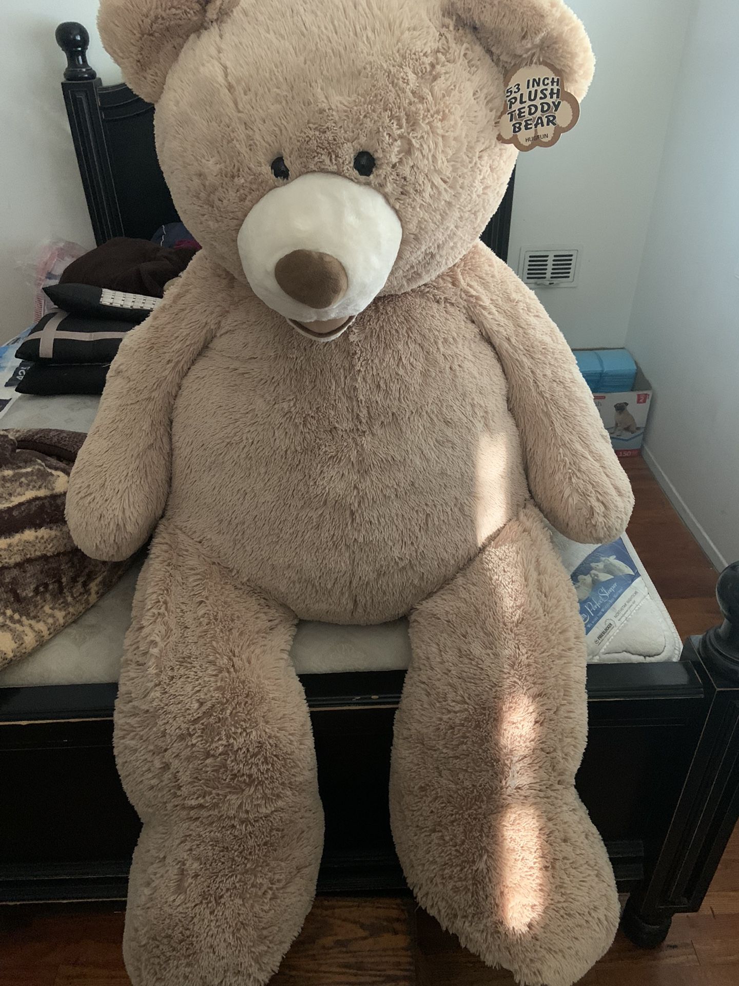 Giant Teddy Bear