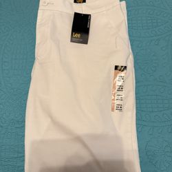 Women’s Lee pants (slacks) wrinkle free mid rise straight leg slacks. Size (16M)