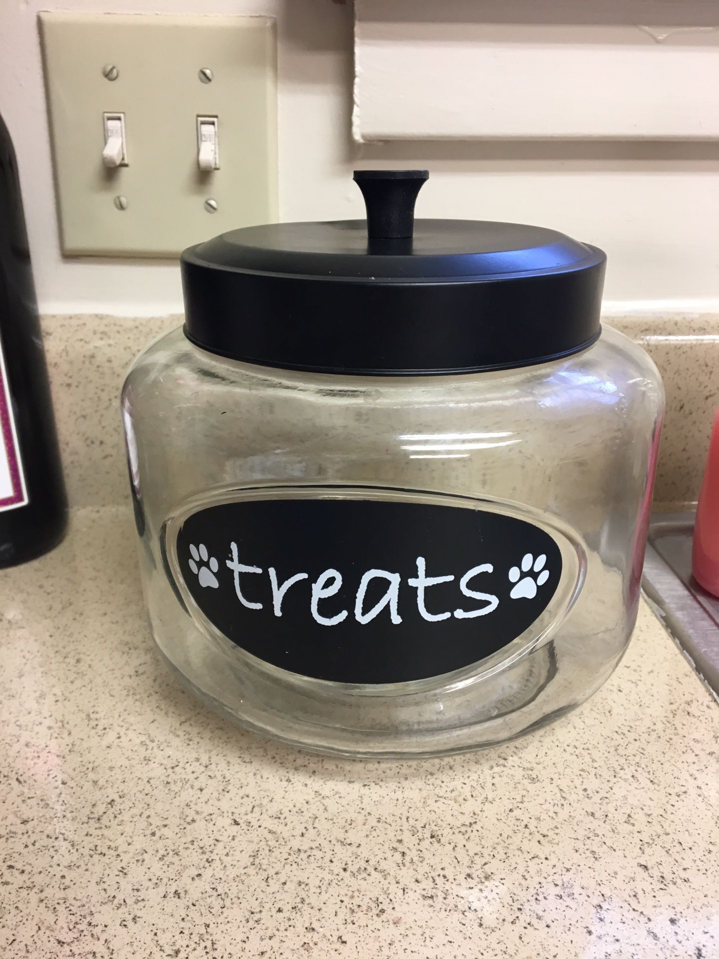 Pet Treat container glass