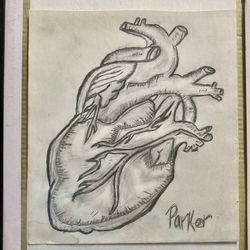Anatomical heart sketch