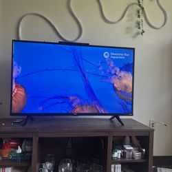 TCL Roku Smart TV 43 in