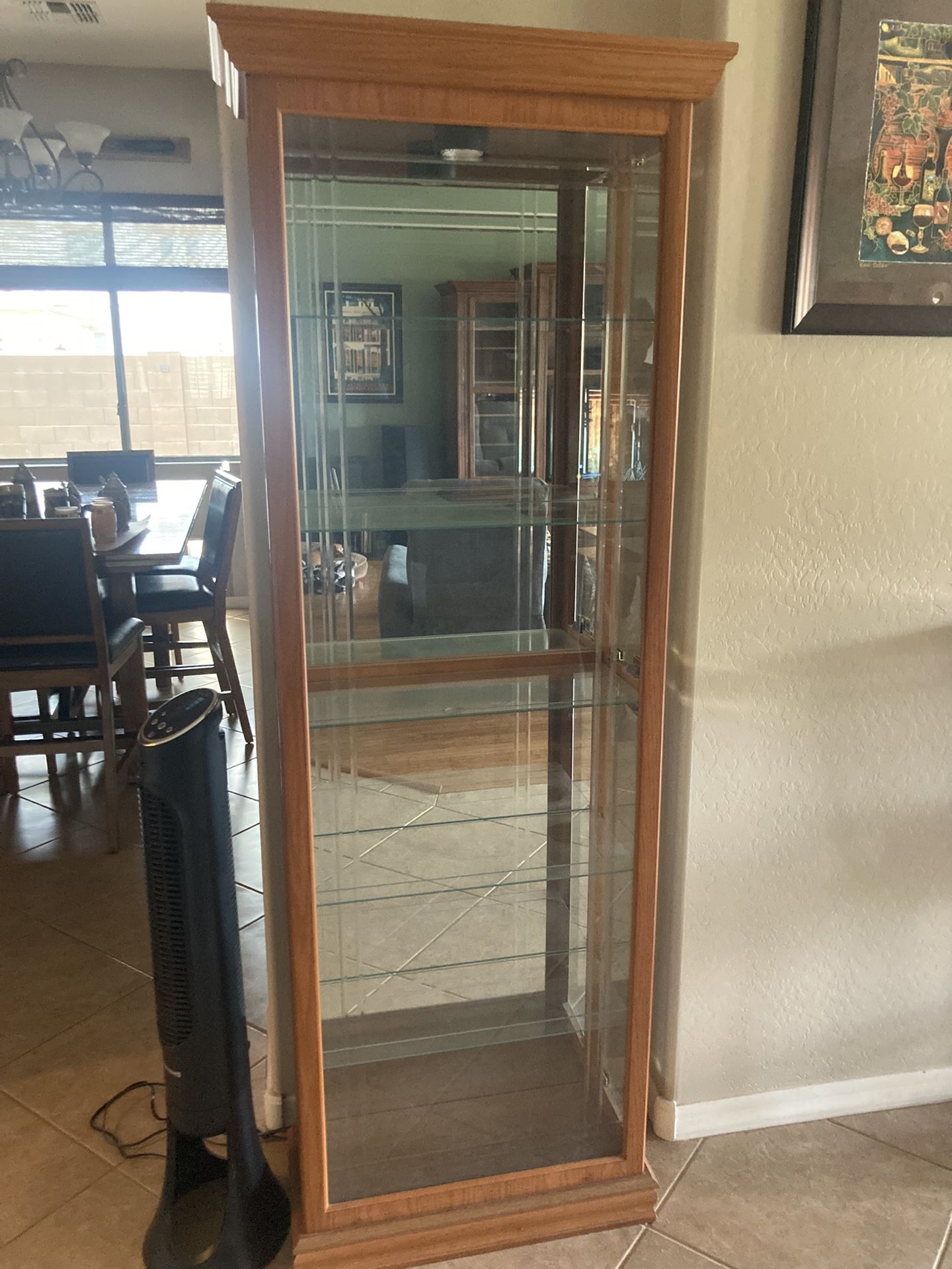 Lighted Curio/Display Cabinet