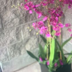 Fake flower / 2qty vases