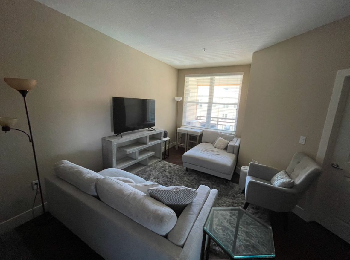 Living Room Items: Name Your Price!