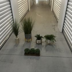 $5-$15 Multiple Fake Plants/Different Prices 