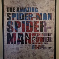 Spider Man Canvas Print Wall Art