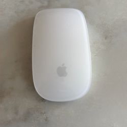 Apple Mouse
