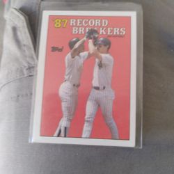 Baseball Card 