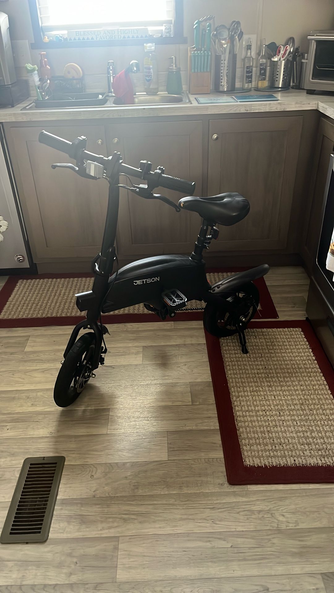 Jetson Electric Bike