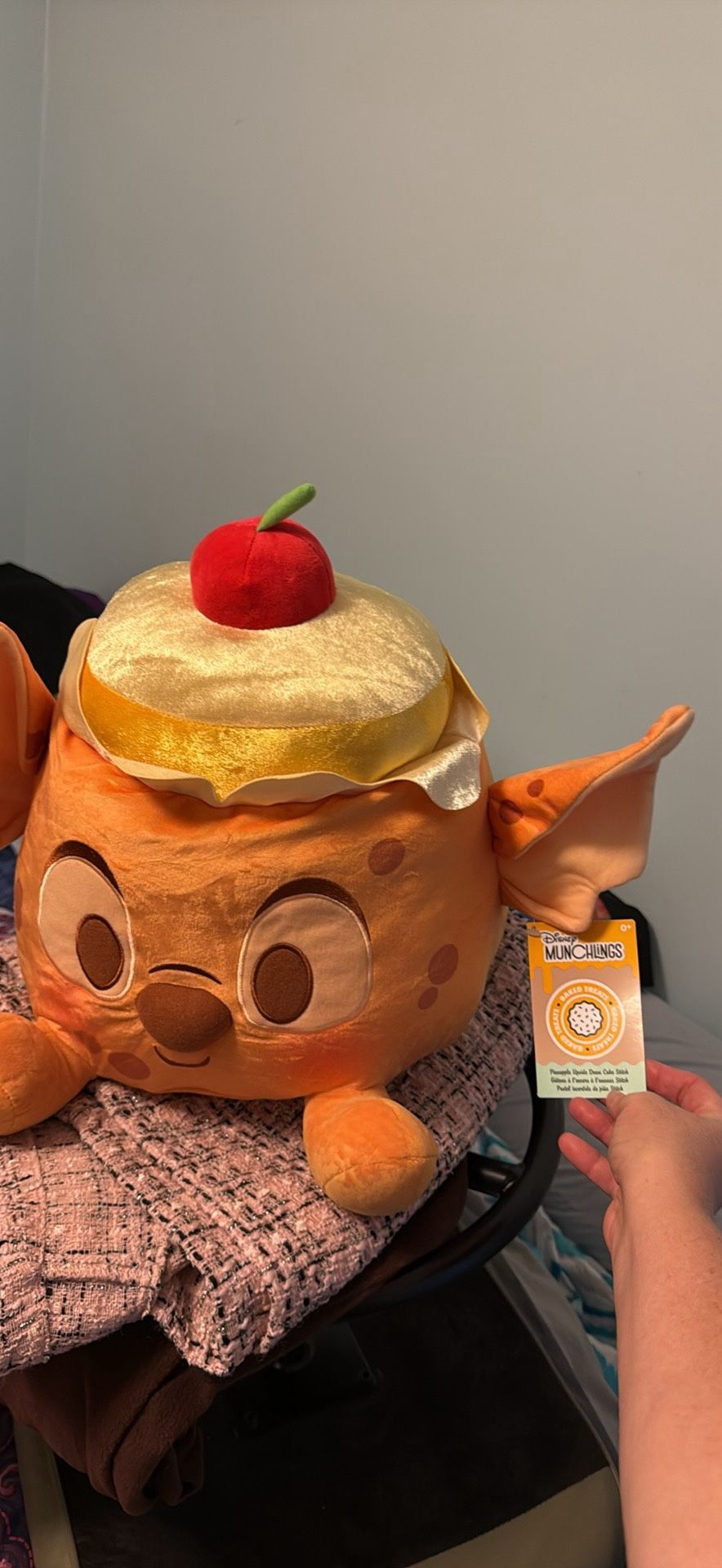 Big Stitch Plushy With Upside Down Pineapple Cake