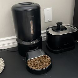 Cat feeder