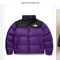 Purple Northface Puffer 700