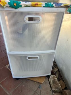 Plastic rolling cubby
