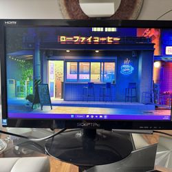 20” Sceptre Monitor