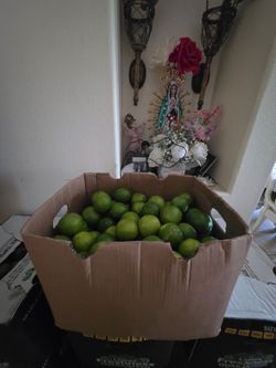 Limones Mexicano sin semellia