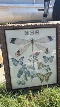 Home Interiors Framed Butterfly & Dragonfly Print