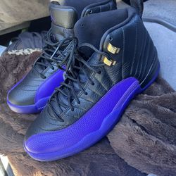 Jordan 12 Field Purple Size 11 Brand New 