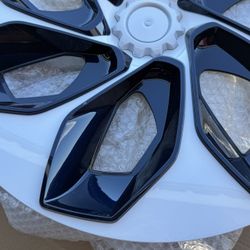 Model Y 19 In