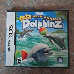 Nintendo DS Game 