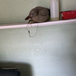 Decoy